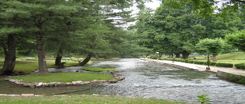 Slide background